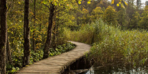 Startpagina 13 camping primavera plitvice